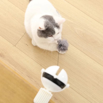 Automatic Lifting Cat Toy Ball - Petsofsweden