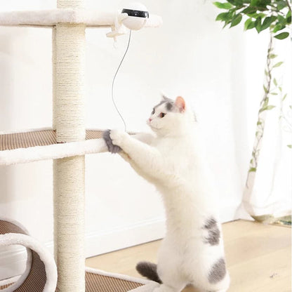 Automatic Lifting Cat Toy Ball - Petsofsweden