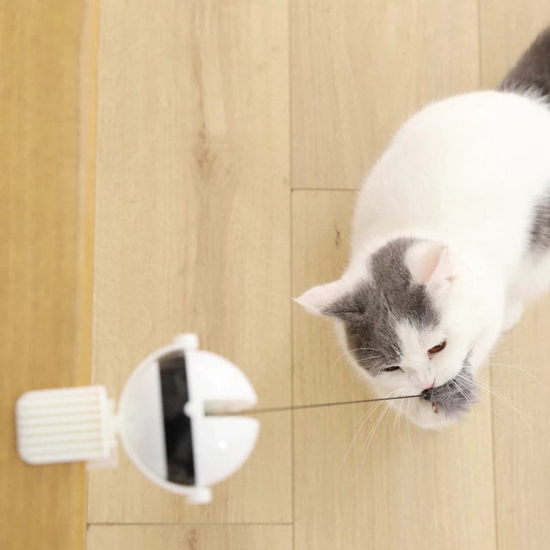 Automatic Lifting Cat Toy Ball - Petsofsweden