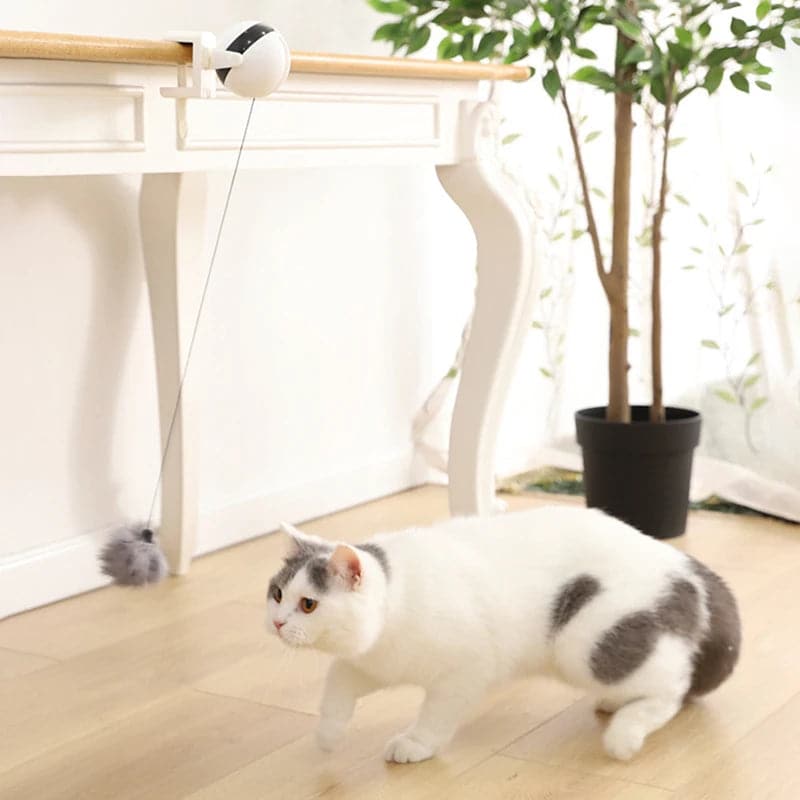 Automatic Lifting Cat Toy Ball - Petsofsweden