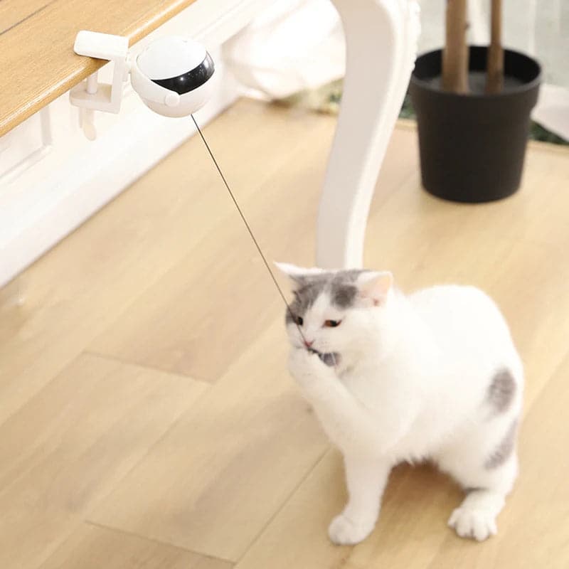 Automatic Lifting Cat Toy Ball - Petsofsweden