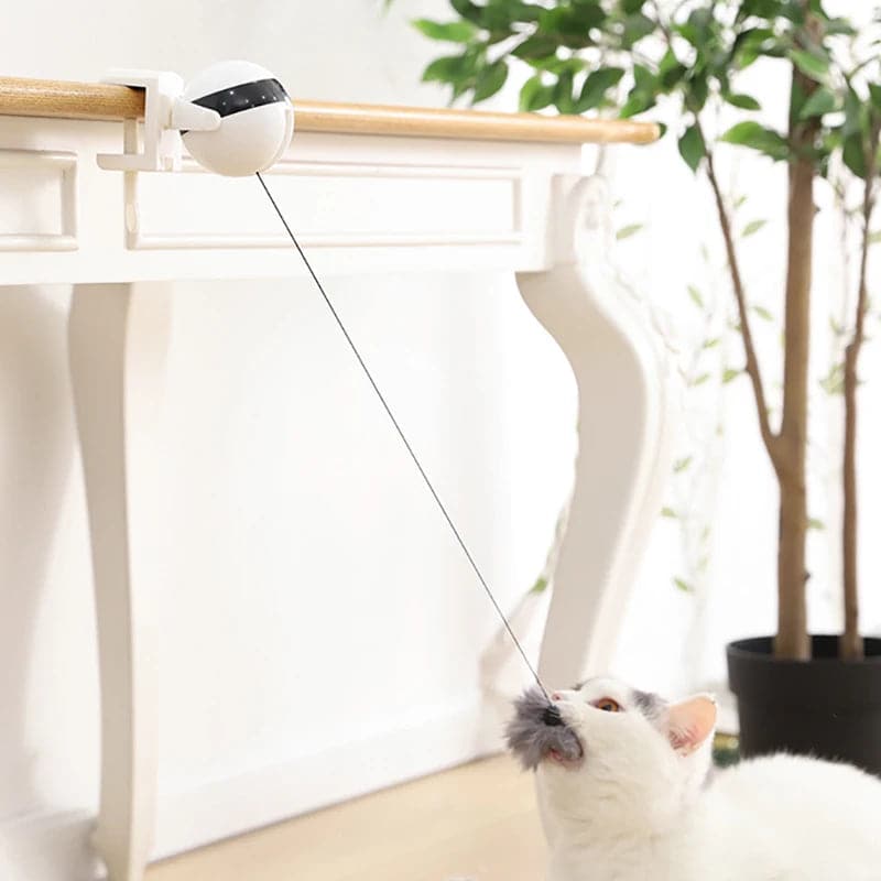 Automatic Lifting Cat Toy Ball - Petsofsweden