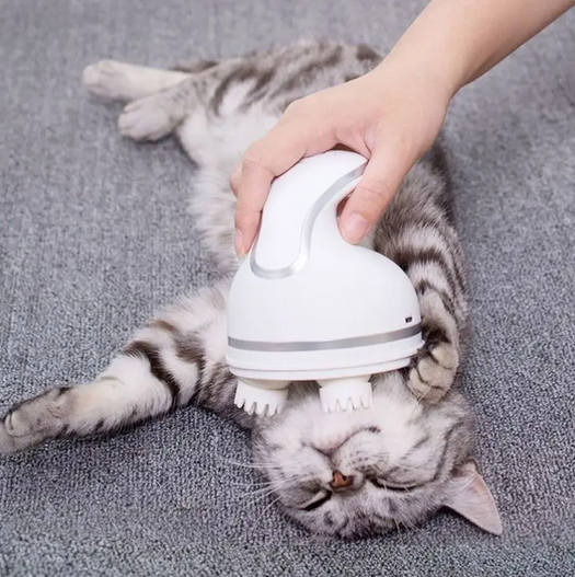 Electric Cat Scalp And Body Massager - Petsofsweden