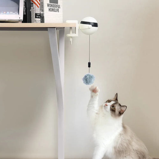 Automatic Lifting Cat Toy Ball - Petsofsweden