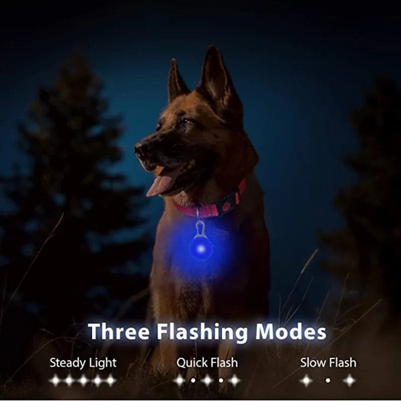 Rechargeable LED Dog Collar Pendant - Petsofsweden