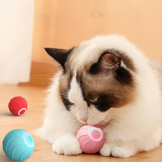 Interactive Cat Toy: Automatic Bouncing Ball 2.0