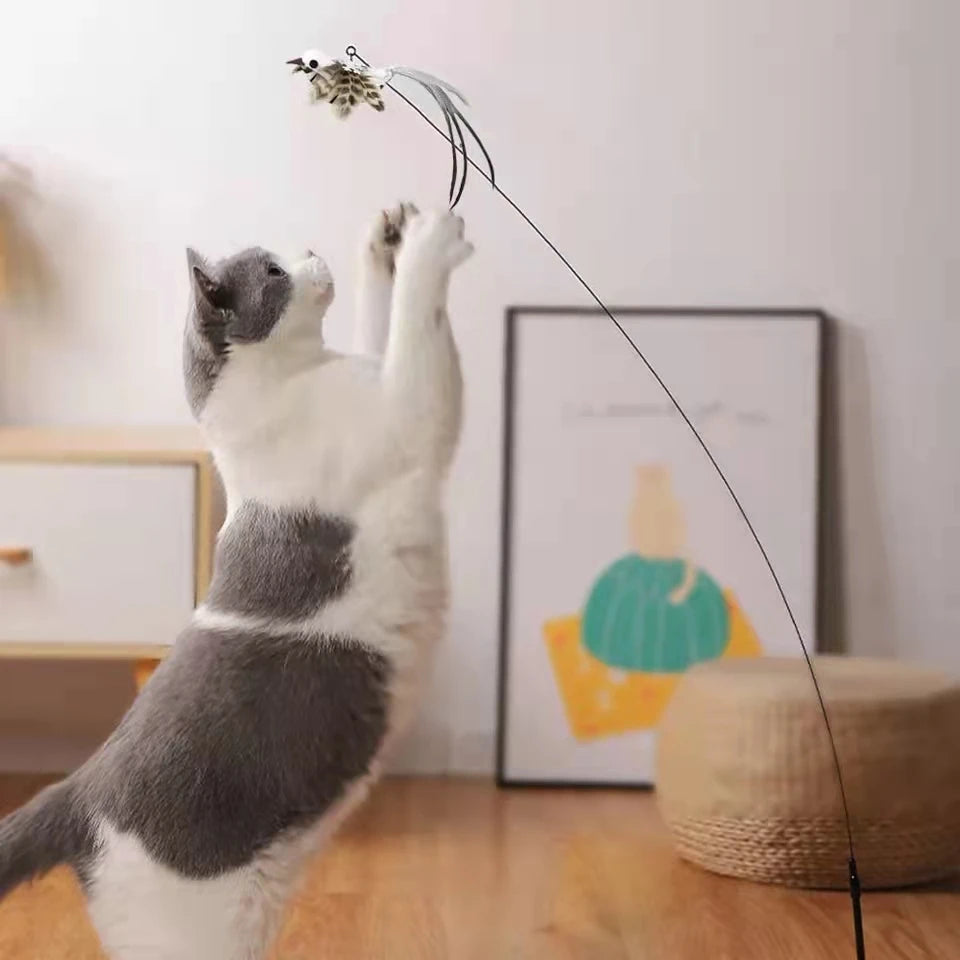 Self Interactive Cat Stick: Feather Bird Toy