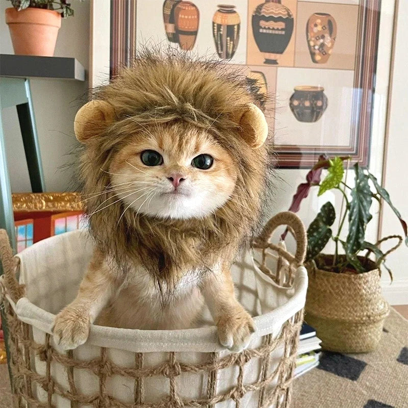 Cat Lion Mane Costume