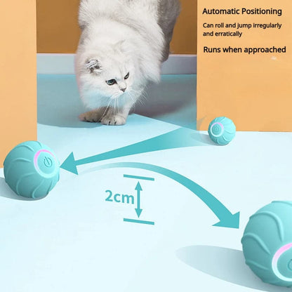 Interactive Cat Toy: Automatic Bouncing Ball 2.0 - Petsofsweden