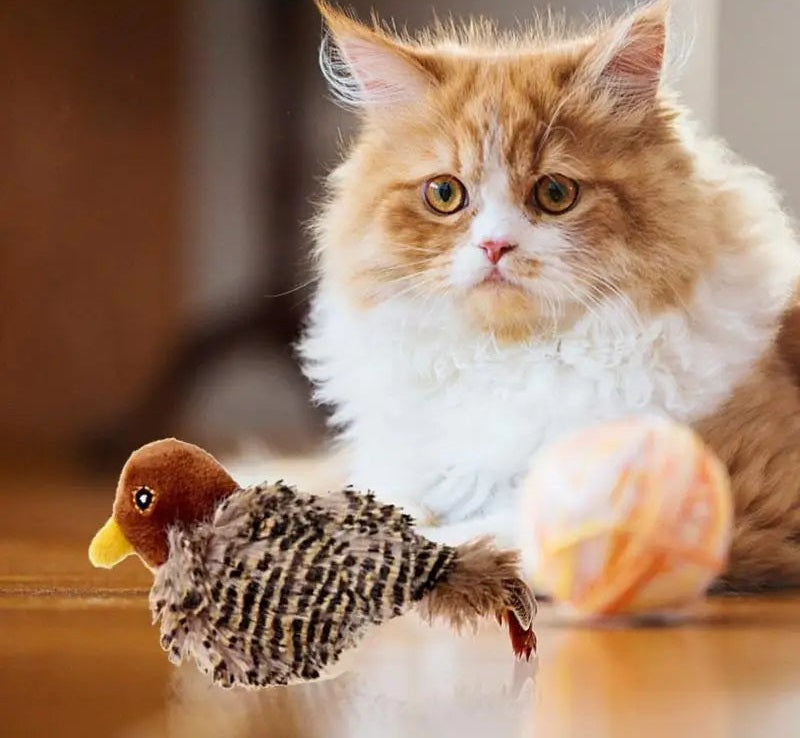 Chirping Bird Cat Toy