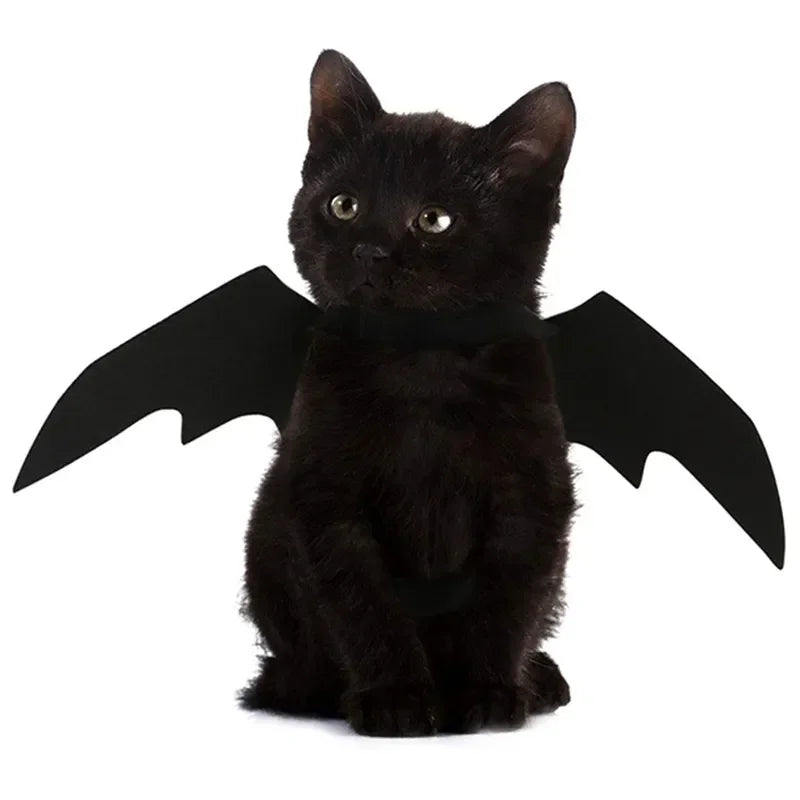 Bat Wings Harness Costume for Cats and Dogs - Petsofsweden