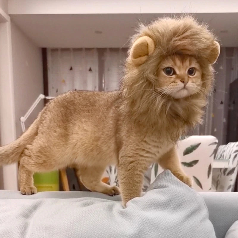 Cat Lion Mane Costume