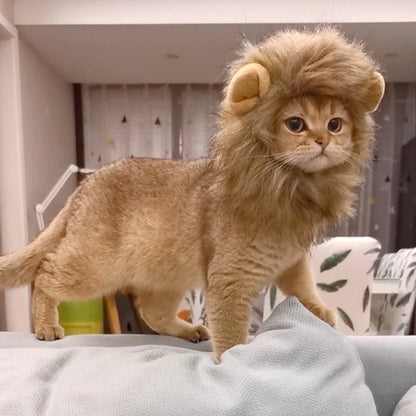 Cat Lion Mane Costume