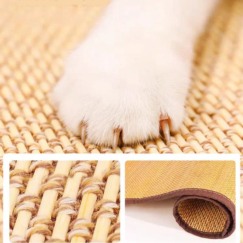 Cat Scratch Protection - Petsofsweden