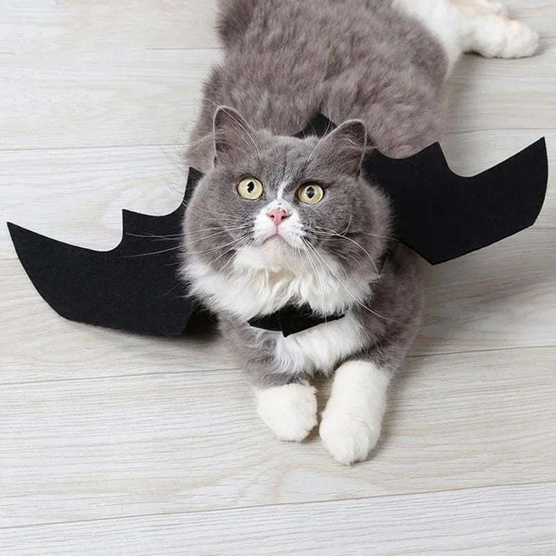 Bat Wings Harness Costume for Cats and Dogs - Petsofsweden