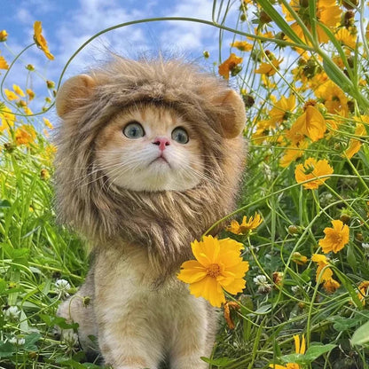 Cat Lion Mane Costume