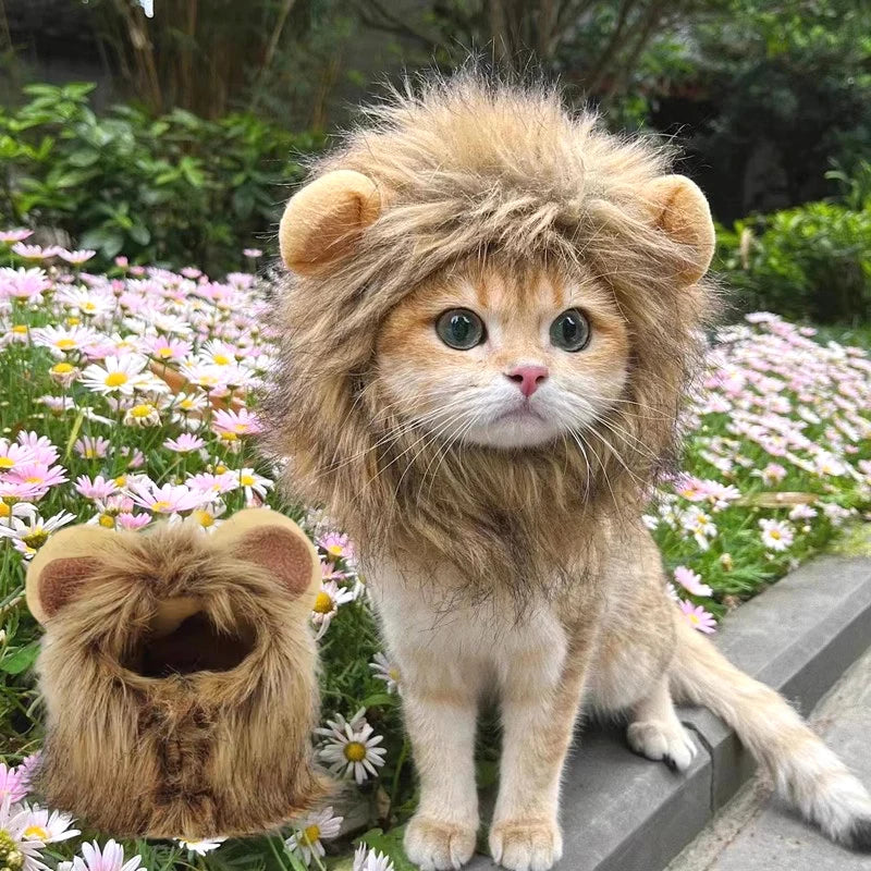 Cat Lion Mane Costume - Petsofsweden