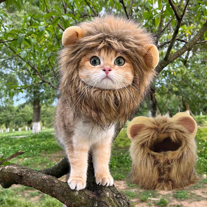 Cat Lion Mane Costume