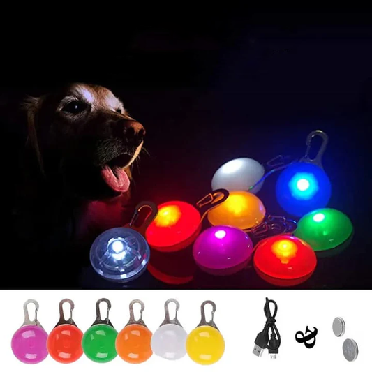 Rechargeable LED Dog Collar Pendant