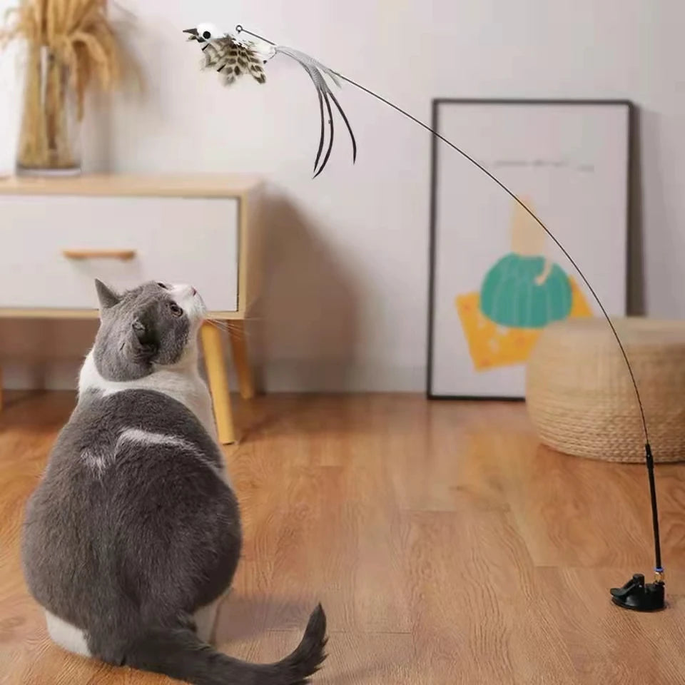 Self Interactive Cat Stick: Feather Bird Toy