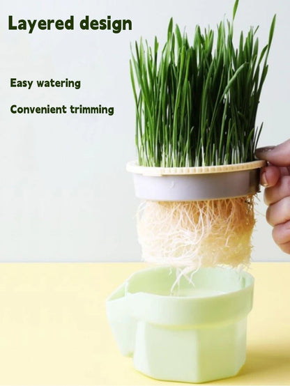 Cat Grass Cultivation Cup - Petsofsweden