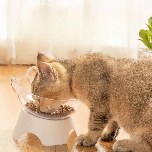 Non-Slip Transparent Inclined Pet Feeding Bowl Set