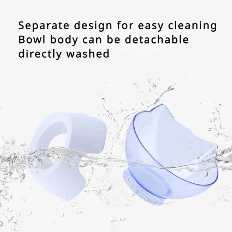 Non-Slip Transparent Inclined Pet Feeding Bowl Set