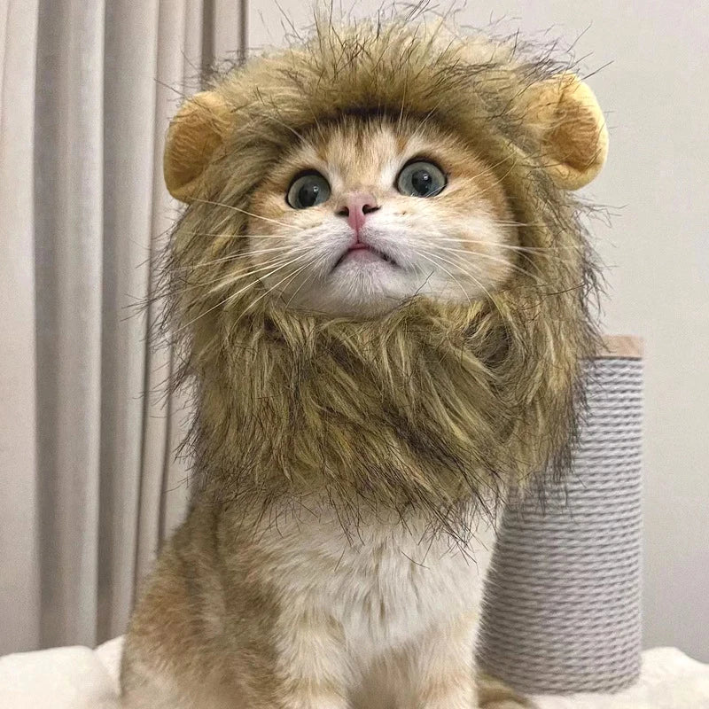 Cat Lion Mane Costume - Petsofsweden