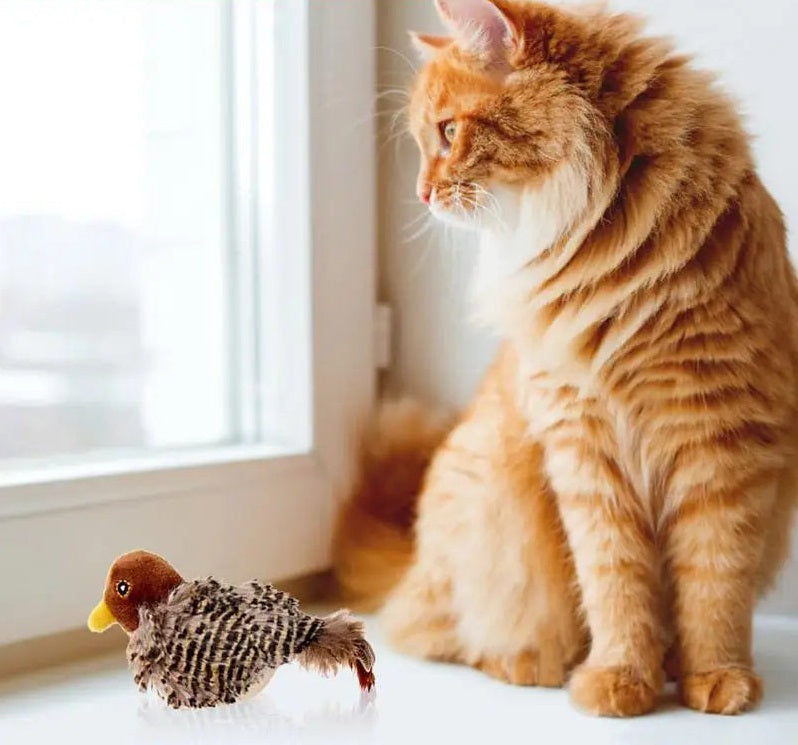 Chirping Bird Cat Toy