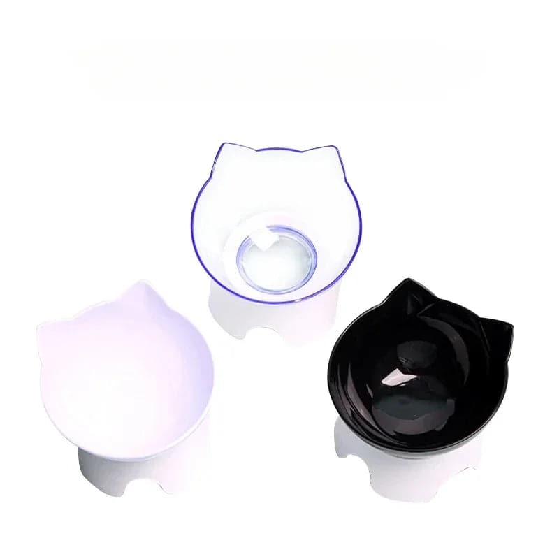 Non-Slip Transparent Inclined Pet Feeding Bowl Set