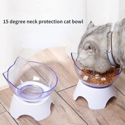 Non-Slip Transparent Inclined Pet Feeding Bowl Set