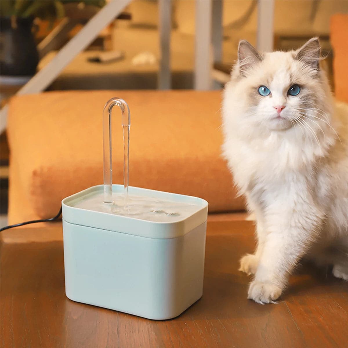 Smart Pet Water Fountain - Petsofsweden