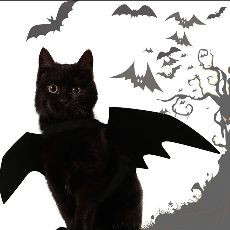 Bat Wings Harness Costume for Cats and Dogs - Petsofsweden