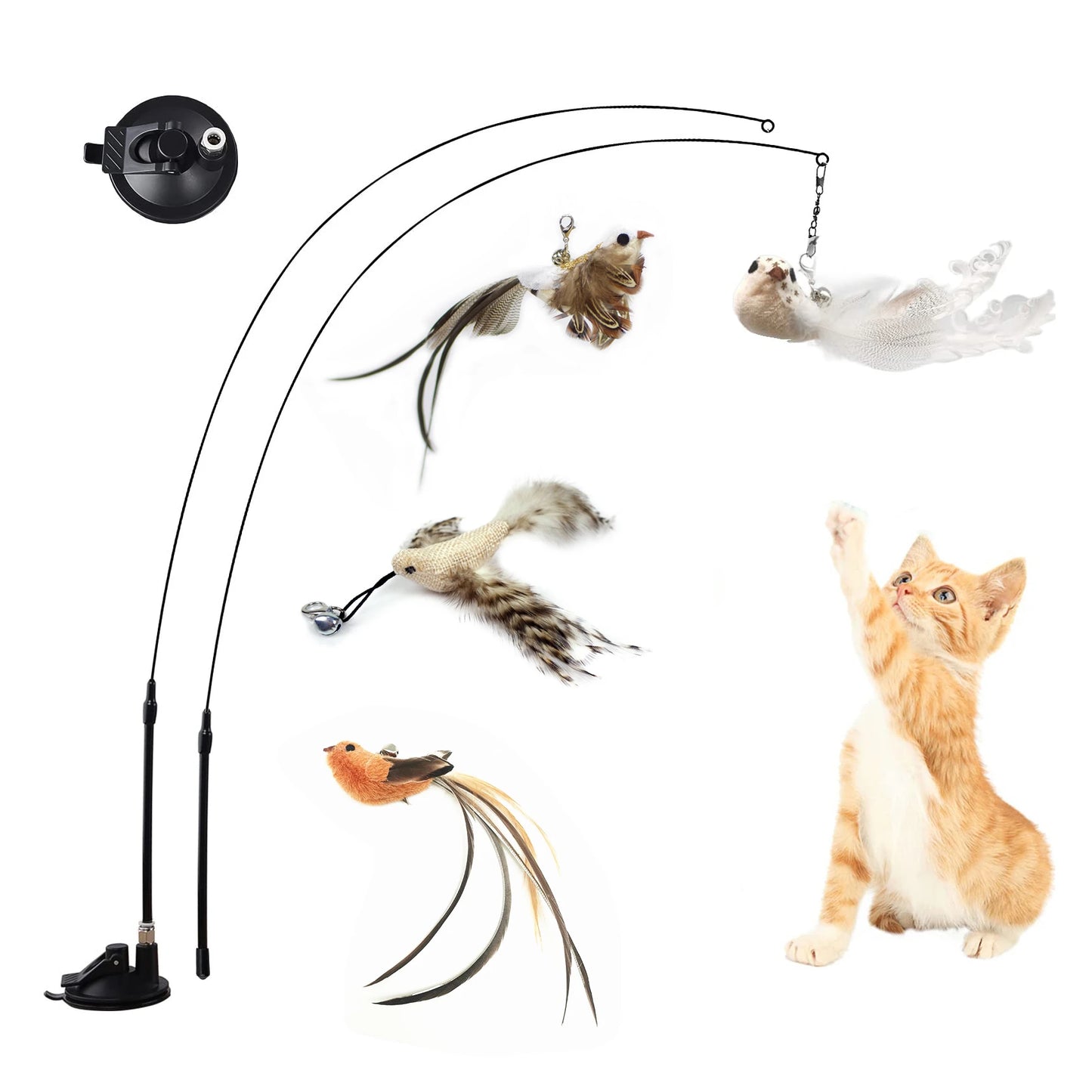 Interactive Cat Teaser: Feather Bird Toy