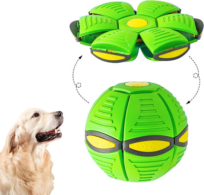 Flying Saucer Dog Ball