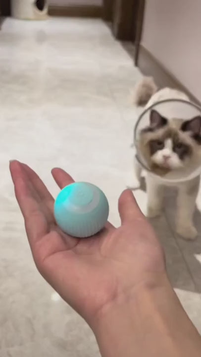 Automatic Rolling Cat Toy