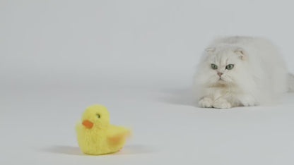 Interactive Flapping Duck Cat Toy