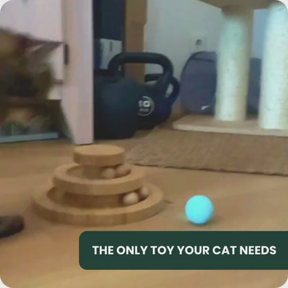 Interactive Cat Toy: Automatic Bouncing Ball 2.0